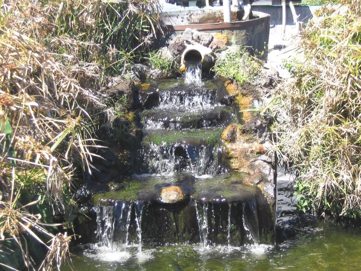 Les Grevilleas La Plaine des Cafres Luaran gambar