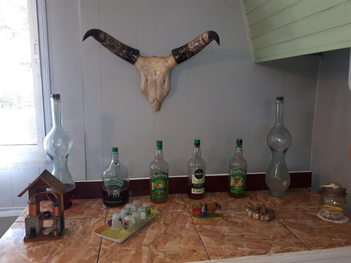 Les Grevilleas La Plaine des Cafres Luaran gambar